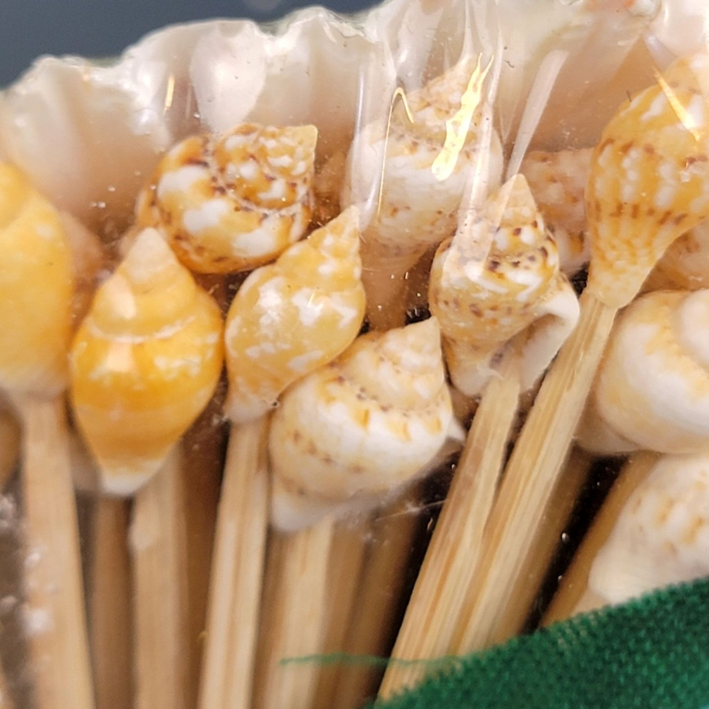 Vintage 80s Appetizer Toothpick Cocktail Picks Seashell Beach Hawaii Souvenir