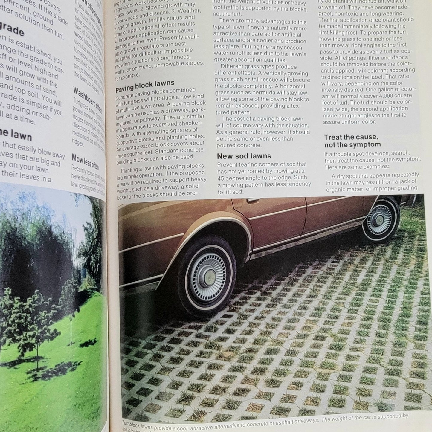 Vintage 70s Ortho Book Lot All About Roses Lawns Garden How To Guide Green Grass
