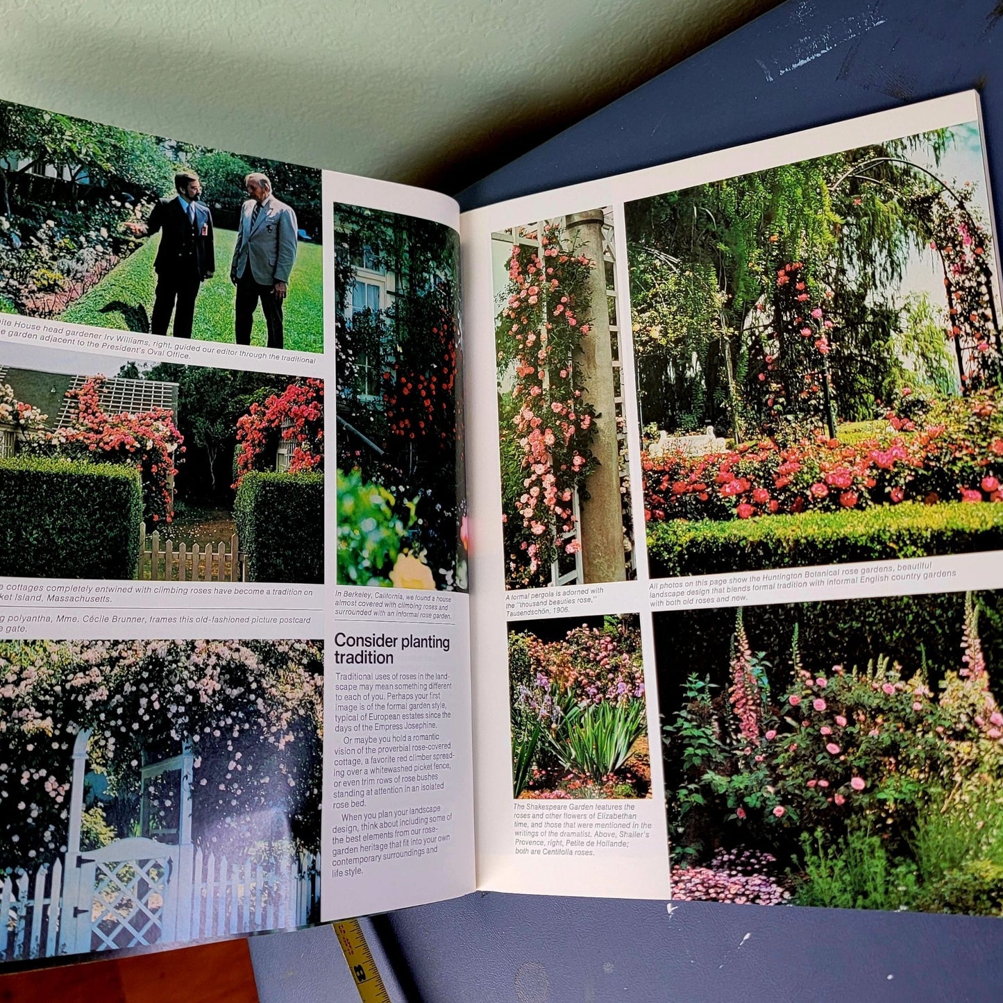 Vintage 70s Ortho Book Lot All About Roses Lawns Garden How To Guide Green Grass