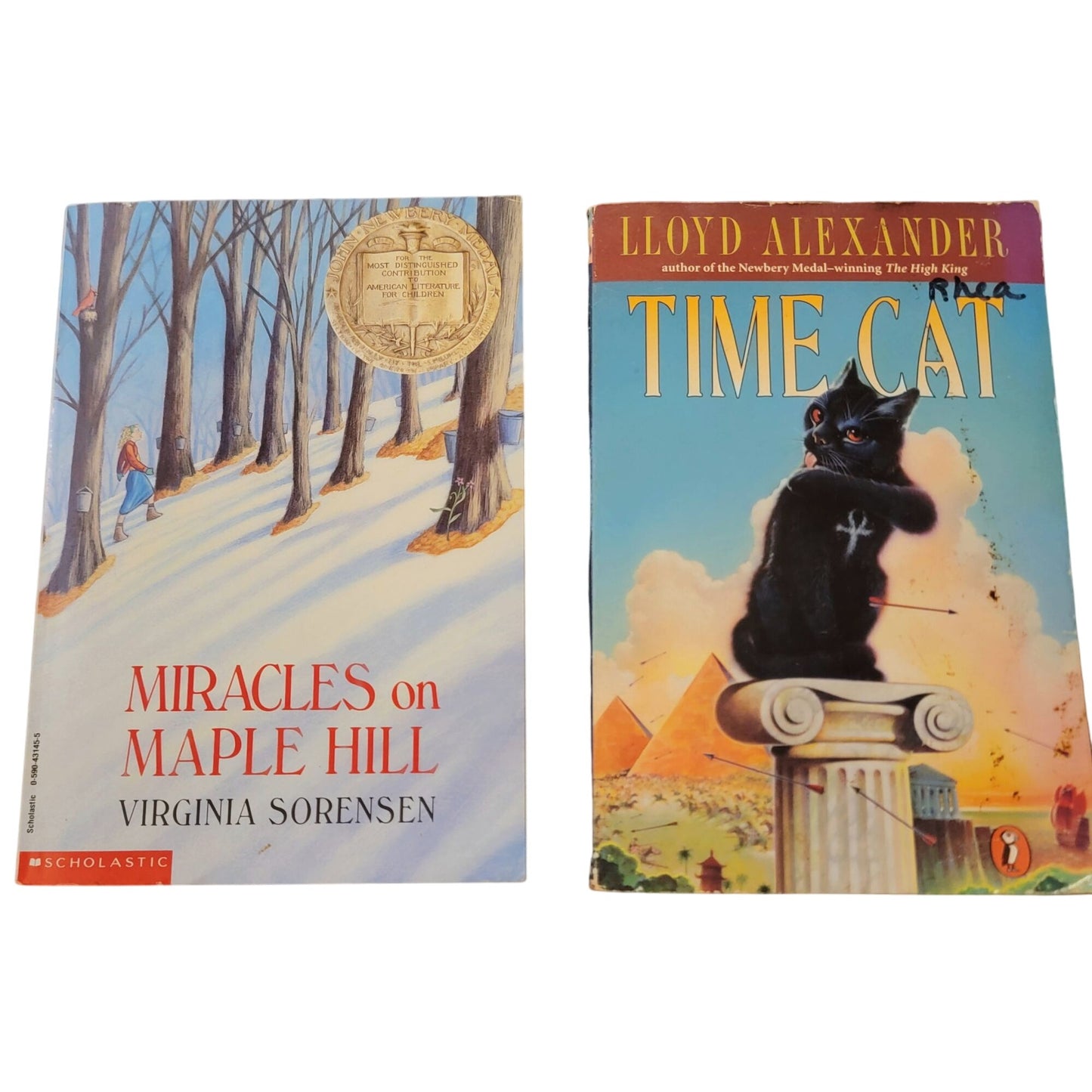 Award Winners Chapter Book Lot Children Kid Read Teacher Library