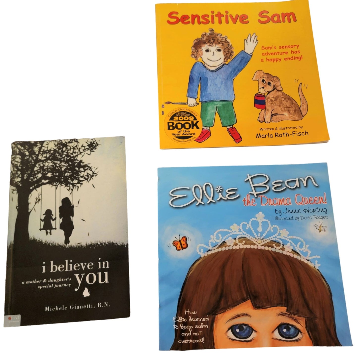 Sensory Processing Disorder Education Bundle Neurodivergent Kids Adults Book Lot