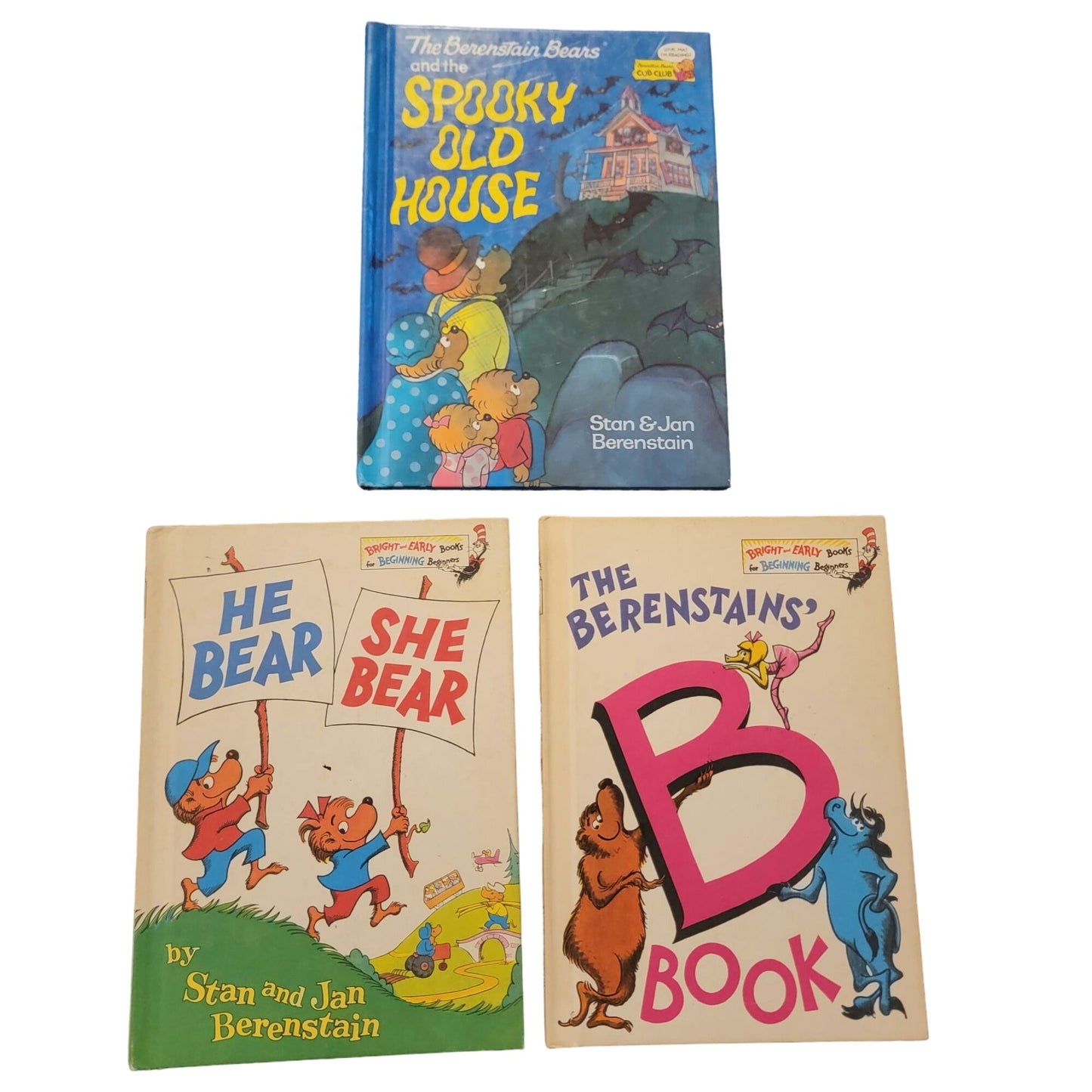 Clifford Book Lot Berenstain Bears Children Vintage Kid Education