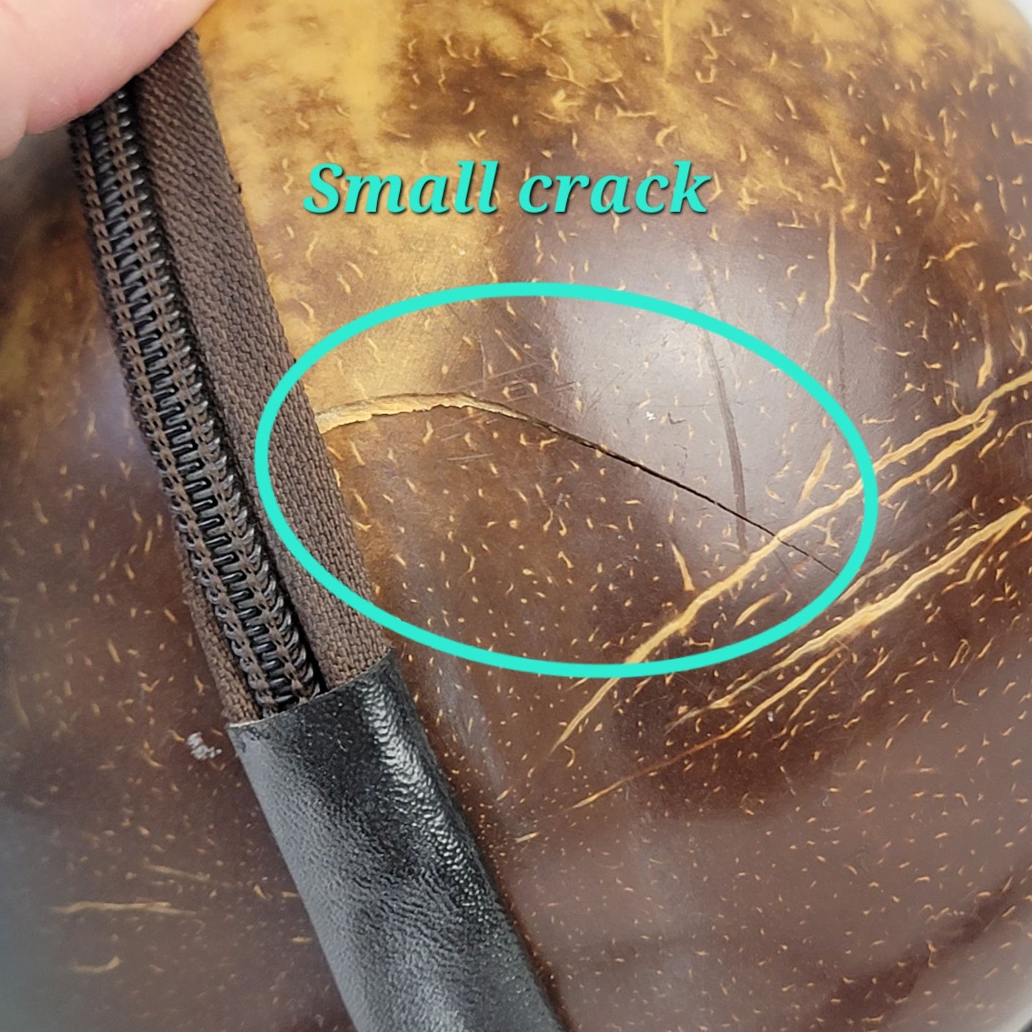 Coconut Crossbody Bag Handbag Purse Travel Trip Cruise