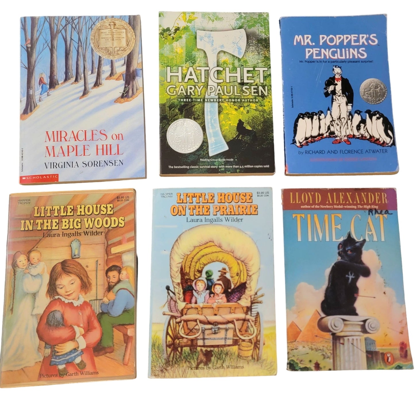 Award Winners Chapter Book Lot Children Kid Read Teacher Library