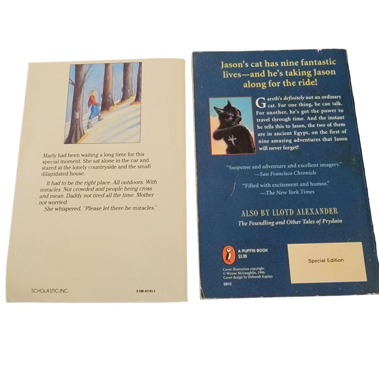 Award Winners Chapter Book Lot Children Kid Read Teacher Library