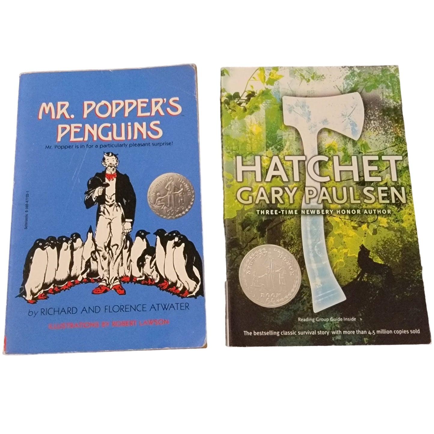 Award Winners Chapter Book Lot Children Kid Read Teacher Library